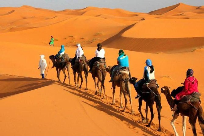 Camel Ride in Tanger - Pricing and Guarantee