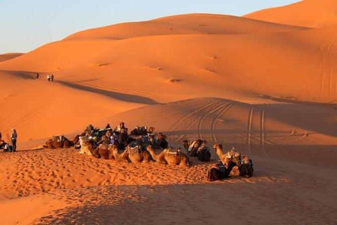 Camel Ride in Tanger - Tour Details