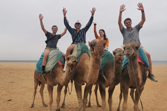 Camel Ride in Tanger - Directions