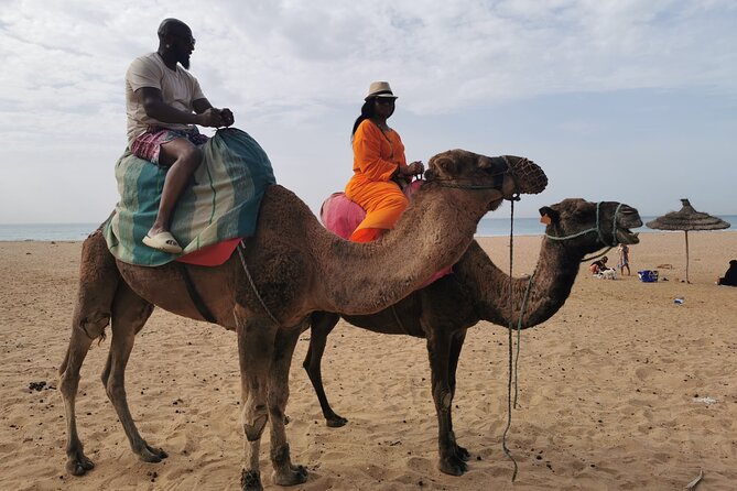 Camel Ride in Tanger - Common Questions