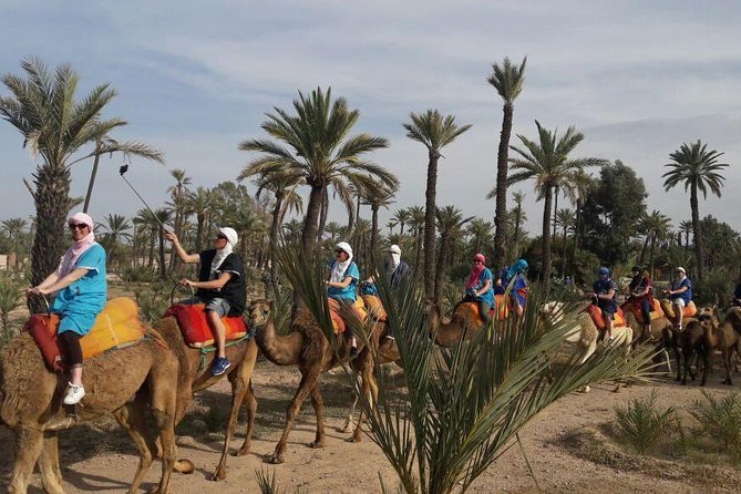 Camel Ride in the Palm Grove - Meeting and Pickup Information