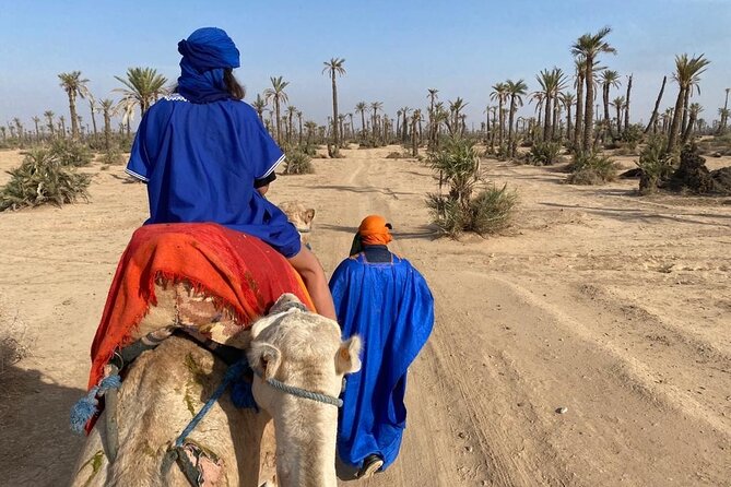 Camel Ride in the Palm Grove of Marrakech - Good To Know