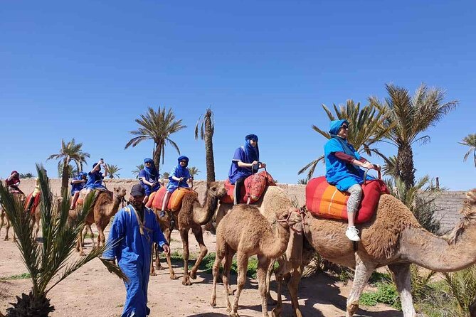 Camel Ride in the Palm Grove of Marrakech - Price and Guarantee