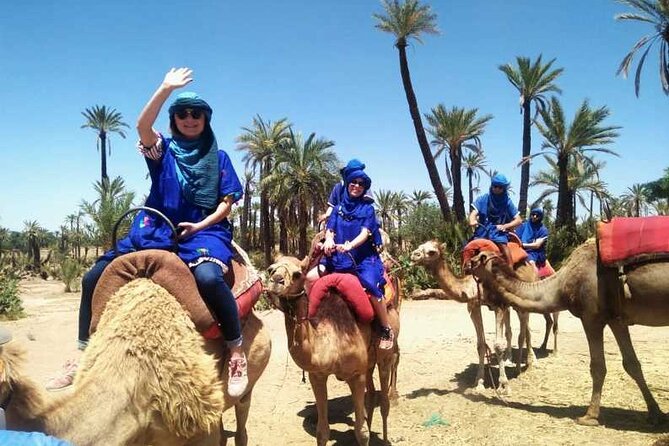 Camel Ride in the Palm Grove of Marrakech - Expectations