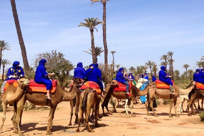 Camel Ride in the Palmeraie of Marrakech - Overview of the Experience