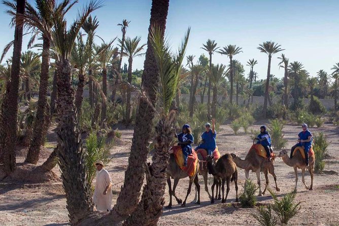 Camel Ride in the Palmeraie of Marrakech - Whats Included