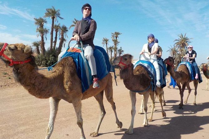 Camel Ride Marrakech - Location