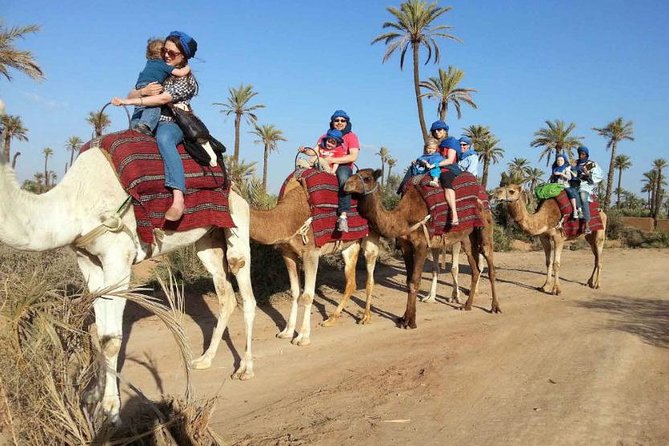 Camel Ride Marrakech - Accessibility