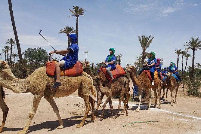 Camel Ride Marrakech - Good To Know