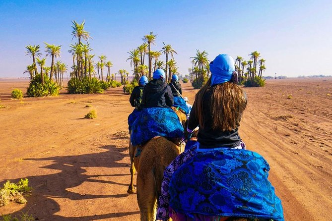 Camel Ride Marrakech - What to Expect