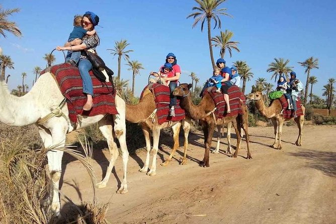 Camel Ride Marrakech - Accessibility Information