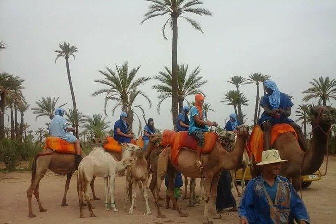 Camel Ride Marrakech Palmeraie - Overview of Camel Ride Experience