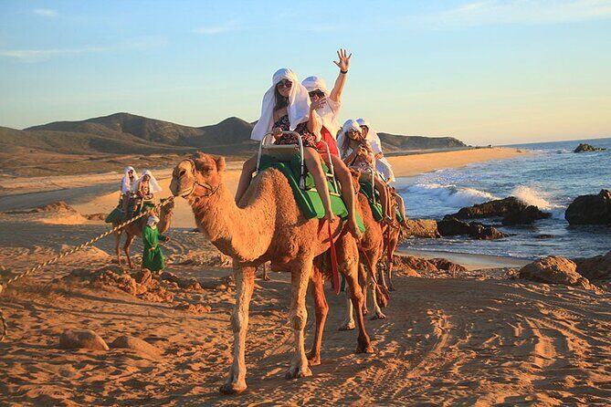Camel Ride On The Beach at Los Cabos - Good To Know