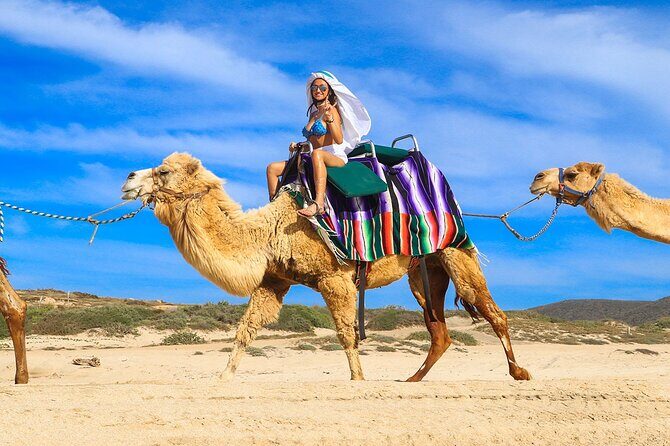 Camel Ride On The Beach at Los Cabos - Who Will Love This Tour?