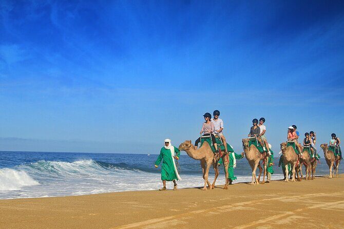 Camel Ride On The Beach at Los Cabos - FAQs