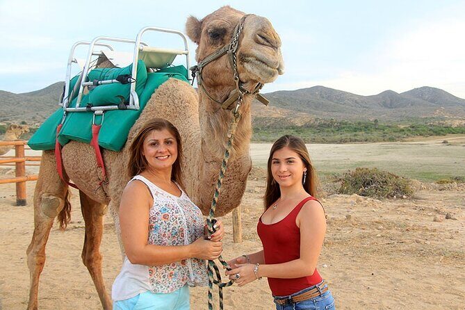 Camel Ride On The Beach at Los Cabos - Final Thoughts