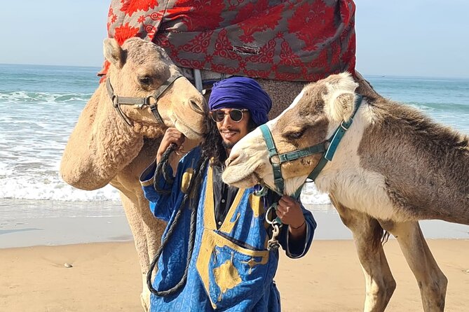 Camel Ride on the Beach From Awrir or Tamraght - Good To Know