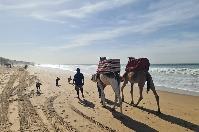 Camel Ride on the Beach From Awrir or Tamraght - Meeting Points