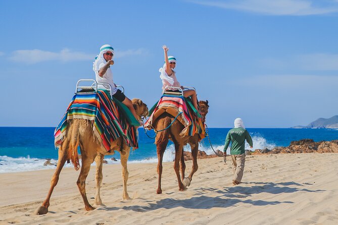 Camel Ride on the Beach & Mega Burrito - Positive Experiences