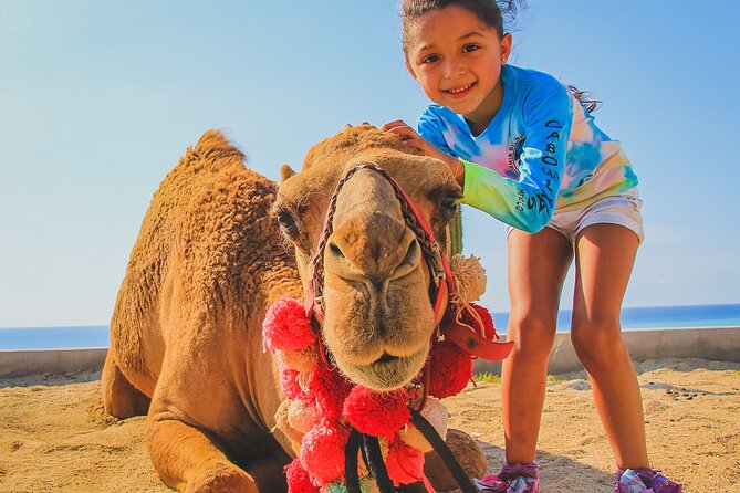 Camel Ride on the Beach & Mega Burrito - Common Questions