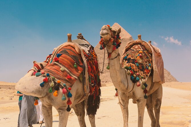 Camel Ride or Horse Around the Pyramids - Photography Opportunities