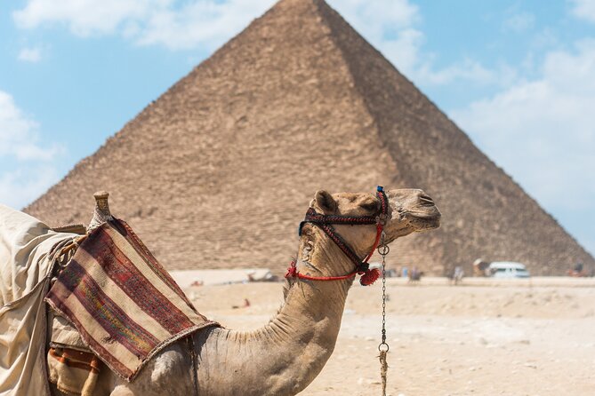 Camel Ride or Horse Around the Pyramids - Private Transportation