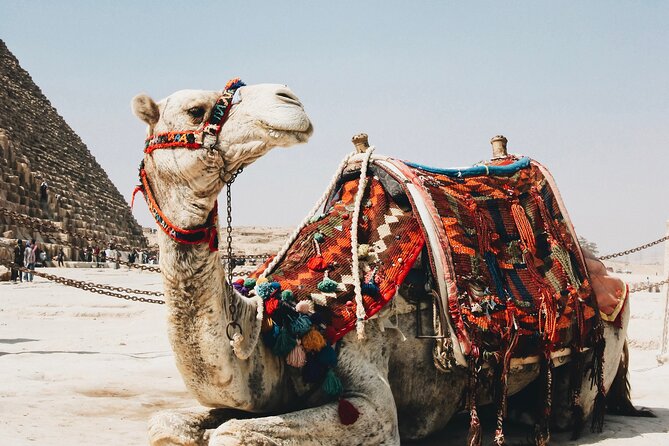Camel Ride or Horse Around the Pyramids - Pickup Details