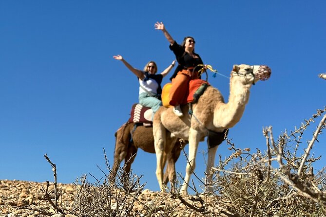 Camel Ride + Quad and Magical Diner & Live Show at Agafay Desert - Inclusions and Pickup Information