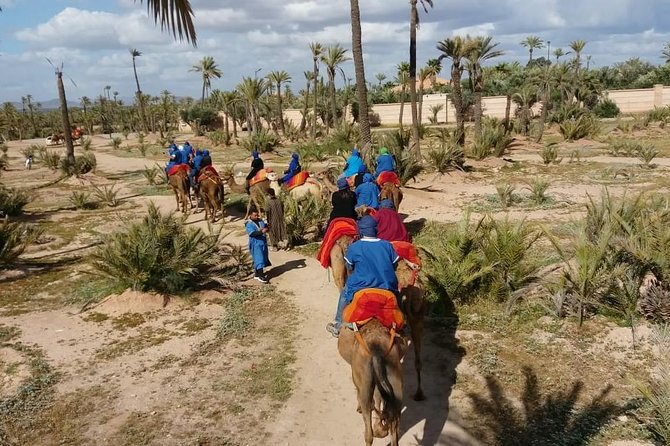 Camel Ride & Quad Bike Tours in the Palm Grove of Marrakech - Pricing and Booking