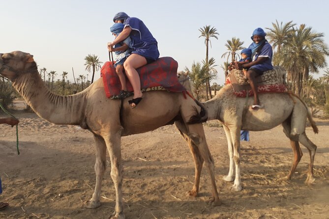 Camel Ride & Quad Bike Tours in the Palm Grove of Marrakech - Tour Details