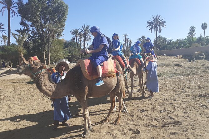 Camel Ride & Quad Bike Tours in the Palm Grove of Marrakech - Pickup and Drop-off