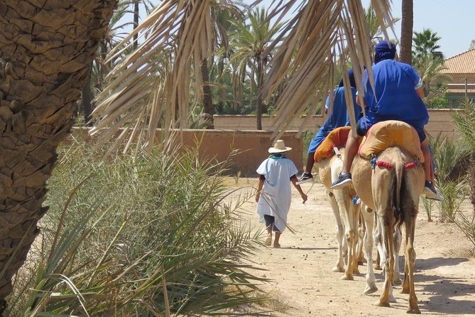 Camel Ride & Quad Biking Half Day in Marrakech - Pickup and Cancellation Policy