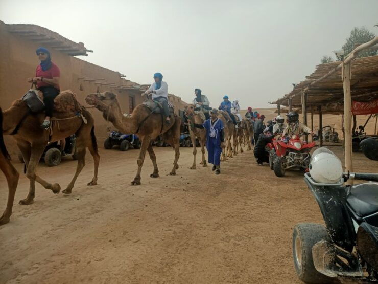 Camel Ride & Quad Tour In Agafay Desert With Lunch - Unforgettable Tour Experience Highlights