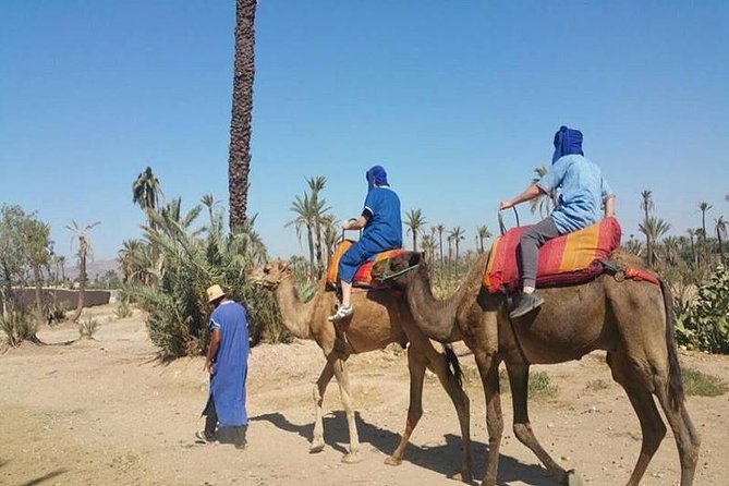 Camel Ride Tour in Marrakech - Pricing Information