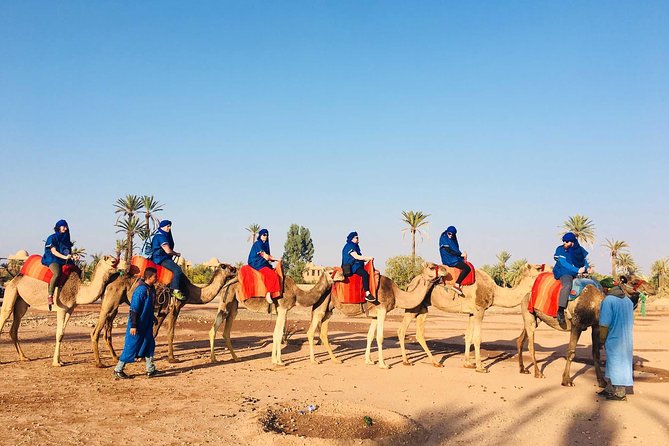 Camel Ride Tour in Marrakech - Restrictions and Requirements