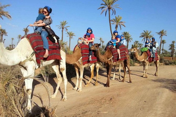 Camel Ride Tour in Marrakech - The Sum Up