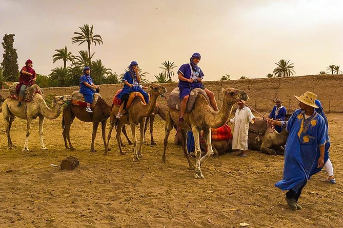 Camel Ride Tour in Marrakesh - Good To Know