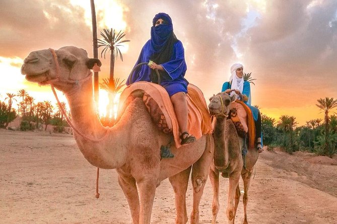Camel Ride Tour in Marrakesh - Reviews