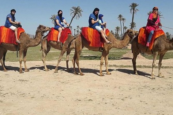 Camel Ride Tour in Marrakesh - Pickup Information