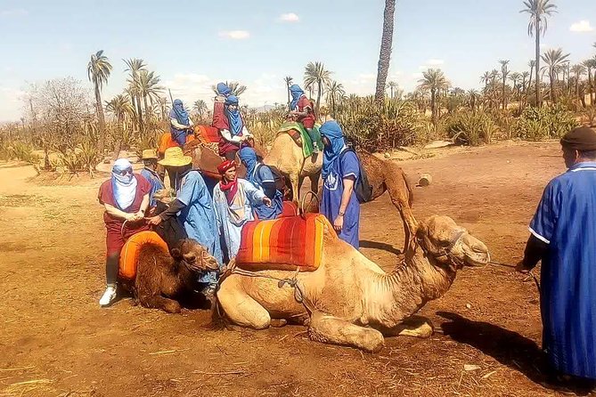 Camel Ride Tour in Marrakesh - Additional Info