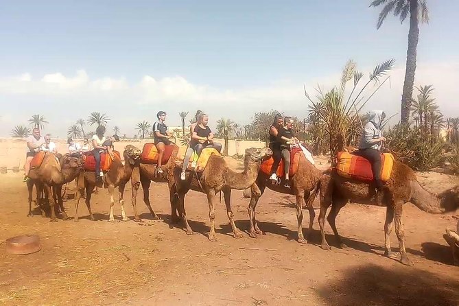 Camel Ride Tour in Marrakesh - Frequently Asked Questions