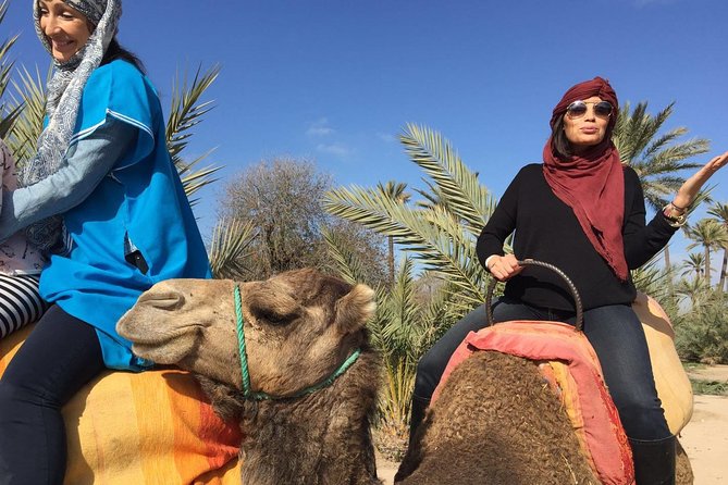 Camel Ride Tour in the Palm Grove of Marrakech - Good To Know