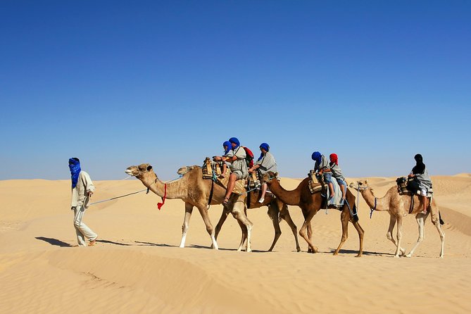 Camel Ride Tour in the Palm Grove of Marrakech - Reviews