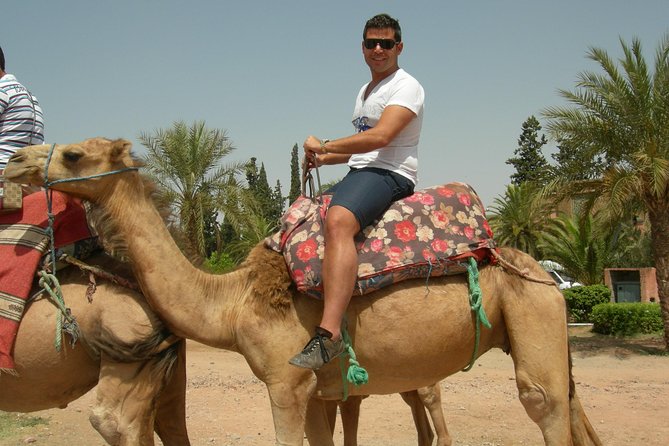 Camel Ride Tour in the Palm Grove of Marrakech - Directions