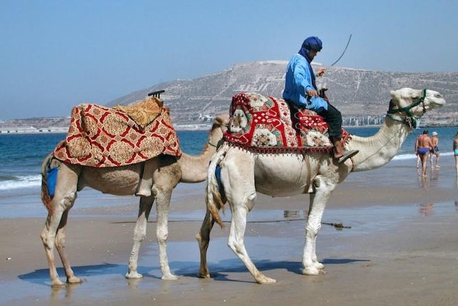 Camel Ride Tours From Agadir & Taghazout - Pickup Details