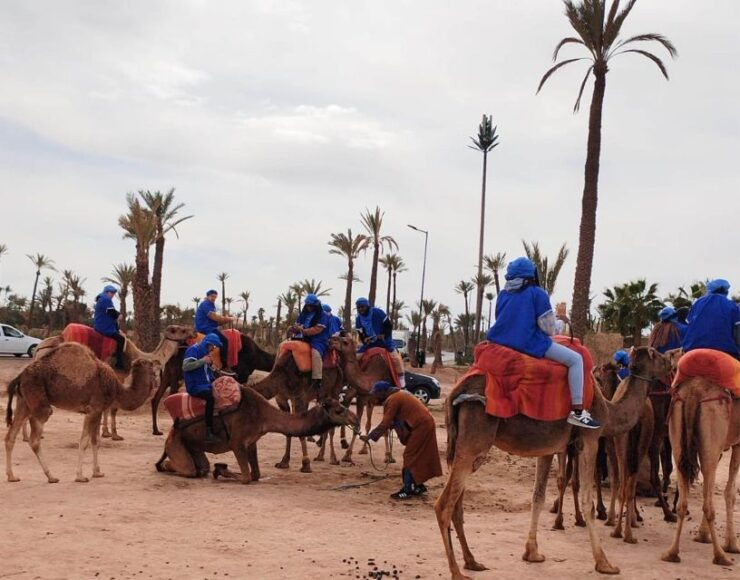 Camel Ride & Visit Marrakesh Jewish Quarter (Berber Market) - Experience Highlights