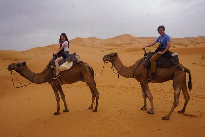 Camel Ride With Luxury Desert Camp And Night In Merzouga Dunes - Luxury Desert Camp Experience