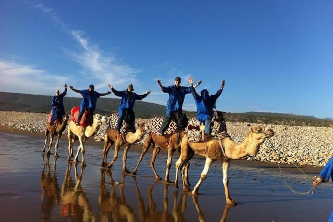 Camel Riding Agadir - Inclusions and Pickup Details