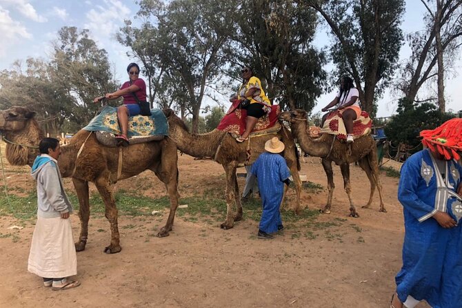 Camel Riding Agadir - Reviews and Questions