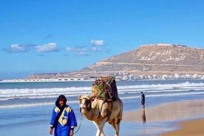 Camel Riding Agadir - Background
